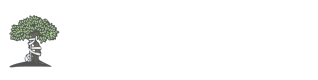 Πέτρος Ν. Δεμπεγιώτης MD, MSc | Ορθοπαιδικός Χειρουργός