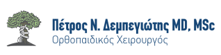Πέτρος Ν. Δεμπεγιώτης MD, MSc | Ορθοπαιδικός Χειρουργός
